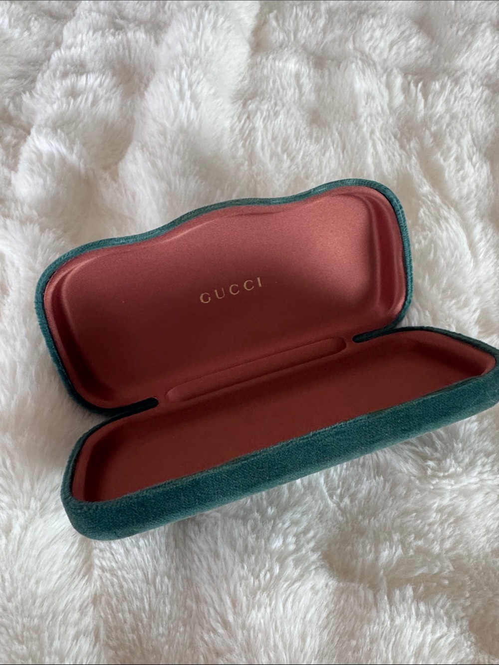 Gucci Velvet Eyewear Case in Teal Exterior and Brick Red Interior